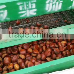 Health Food New Crop Organic Fresh Bulk Chestnuts thumbnail-2