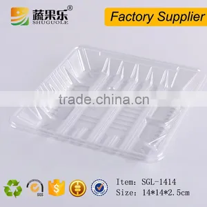 Fruit Plastic Packaging Blueberry Blister Container Tray thumbnail-4