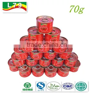 70g China Hot Sell Canned Tomato Paste HALAL Certified thumbnail-1
