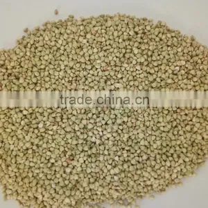 High Quality Raw Buckwheat Kernel thumbnail-1