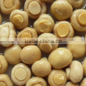 Champignon Mushroom in Brine thumbnail-1