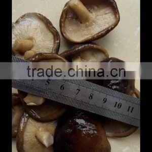 Preserved Shiitake Mushroom Mushroom for Sale Shiitake Mushrooms 50kg Drum thumbnail-3