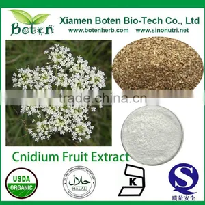 Bulk 98% Osthole Common Cnidium Extract Powder thumbnail-1