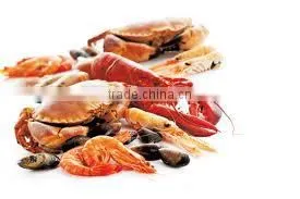 Yellow Fin Tuna Powder thumbnail-1