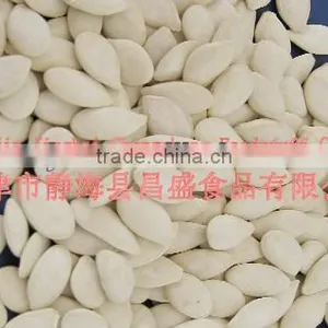 Roasted and Salted Snow White Pumpkin Seeds thumbnail-3