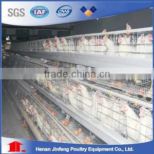 2017A Type Cages for Broiler Chicken thumbnail-5