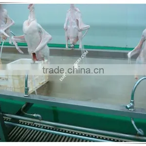 High Quality Poultry Slaughterhouse Equipment Viscera Collection Channel For Chicken Abattoir Plant thumbnail-6