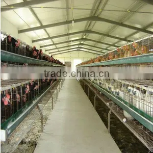 Broiler Chicken House thumbnail-1