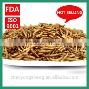 Yongzheng 25mm Freeze Dried Tenebrio Molitor ;Dried Tenebrio Molitor ; Tenebrio Molitor for Birds thumbnail-2