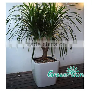 Selfwatering Hydroponic Growing Systems Planter Flower Pots Wholesale thumbnail-2