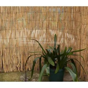 High Quality Reed Fence ,natural Bamboo Reed Fence,various Size Reed Fence thumbnail-4