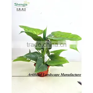 SAS201603 China Supplier Artificial Greenery Plant,Indoor Fake Ornamental Foliage Plant thumbnail-1