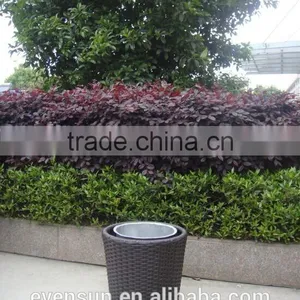 Popular Flower Pot Stand thumbnail-6