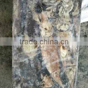 Frozen Peru Squid Wholesale thumbnail-6