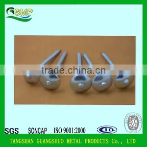 Umbrella Head Roofing Nail/Galvanized Roofing Nails With Washer thumbnail-4