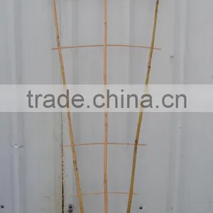 Bamboo Plant Protector and Supporter thumbnail-3