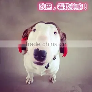 R1941H Lovely Cute Dog Wig,wigs for Dogs,dog Wig thumbnail-4