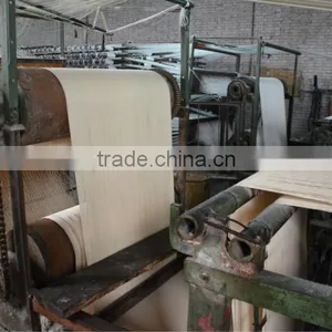 Cotton Canvas Webbing Good Quality and Low Price/It's Your Good Choice! Made in China Shengquan for Biscuit Bake thumbnail-3