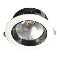 High Quality COB Downlight 30W thumbnail-1