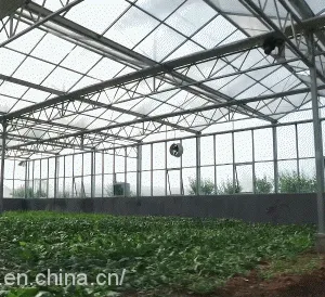 Multi Span PC GLASS Agricultural Greenhouse thumbnail-5