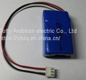 Lithium-ion Battery thumbnail-1