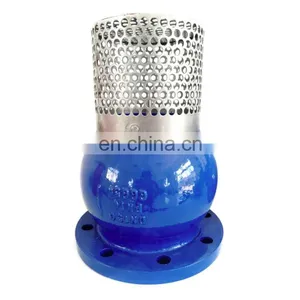 DN150 PN16 GGG50 Ductile Iron Foot Valve With Stainless Steel Strainer thumbnail-1