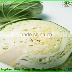(HOT) 2015 Cabbage Wholesaler/cabbage Prices thumbnail-2