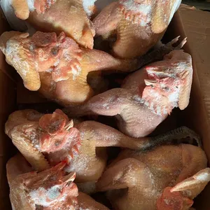 Cheap Hot Sale Frozen Whole Sanhuang Chicken thumbnail-4