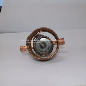 Saginomiya Japan Lugong High Quality Thermal Expansion Valve Qcx-0334duc Welded Brass thumbnail-1