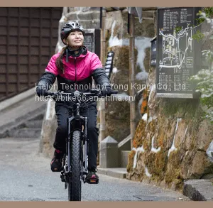 Trustworthly Factory Electric Bike 48V 60V 350w 500w 10ah 13ah Electric Cycle for Daily Life thumbnail-4
