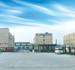 Jiangsu Cureguard Glove Co., Ltd. company overview - view 1 thumbnail