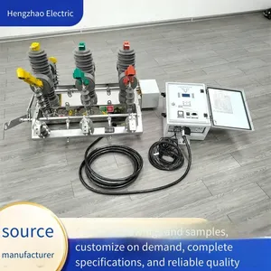 Zw32-12fgg/630 Dual Power Automatic Transfer Device, 10kv Fully Automatic Switching High-voltage Vacuum Circuit Breaker thumbnail-3