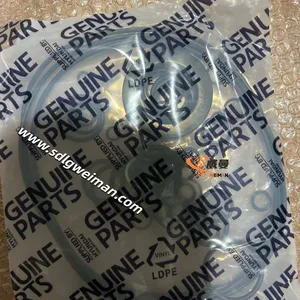 Hyundai SEAL KIT SWING MOTOR 39Q6-11700 for Hyundai Excavator R235LCR-9 thumbnail-5
