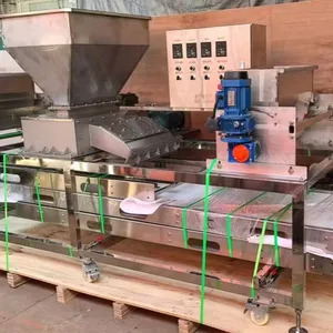 Yongtai Junyang | Rice Cake Strip Forming Machine | Automatic Production Line thumbnail-1