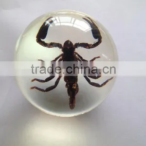 Hot Selling Small Crystal Ball With Real Ember Embedded for Promotional Gift thumbnail-4