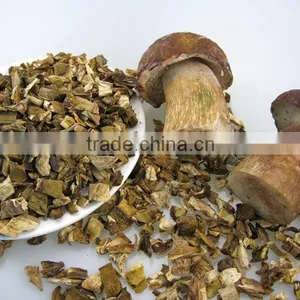 Fibrin Dried White FUNGUS MUSHROOM 2016 thumbnail-5