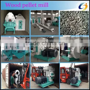 Good Performance and Lowest Price Wood Pellet Mill Machine With Various Types thumbnail-1