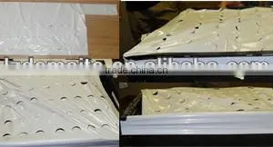 Plastic Fruit Cover thumbnail-1
