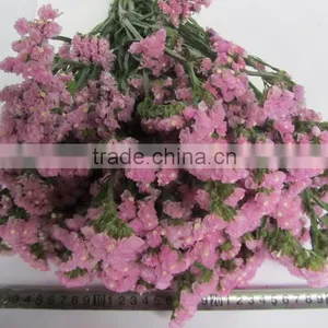 Colorful Hot Sale Decorative Supplies Myosotis thumbnail-3