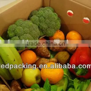 Vegetable Garden Packaging Box on Sale thumbnail-5
