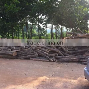 Acacia Core Veneer thumbnail-4