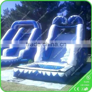 Commercial Inflatable Swimming Pool Slide for Sale thumbnail-1