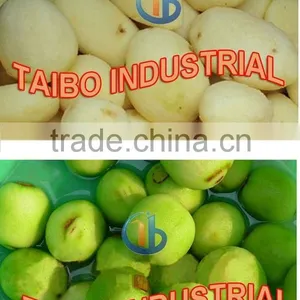 Industry and Distribution Center Use Brush Potato Cleaning Machine Quality Choice thumbnail-6