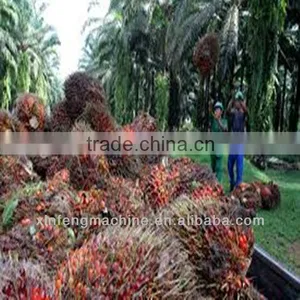 Huaxian Xinfeng 2013 New Technology Palm Oil Workshop thumbnail-1