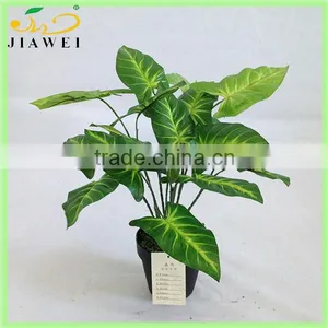 Artificial Bonsai Tree thumbnail-1