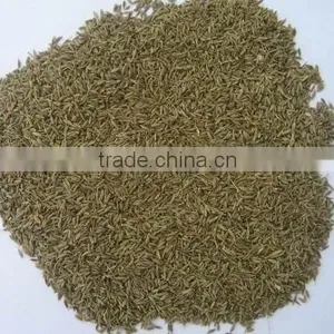 Xinjiang Cumin Seeds thumbnail-1