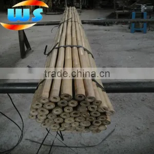 Bamboo Pole thumbnail-1