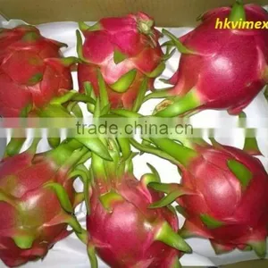 DRAGON FRUIT thumbnail-3