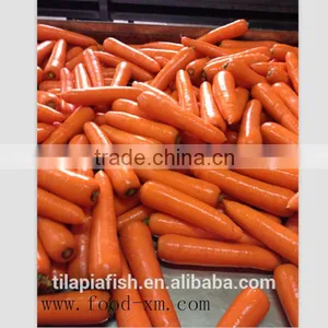 Frozen Carrot Best Grade thumbnail-1