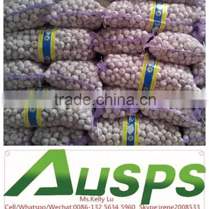 China Farm Fresh Garlic thumbnail-2